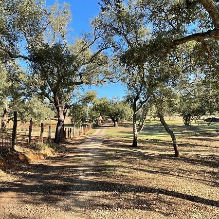 Casa Rural La Galvana Aracena Eksteriør bilde