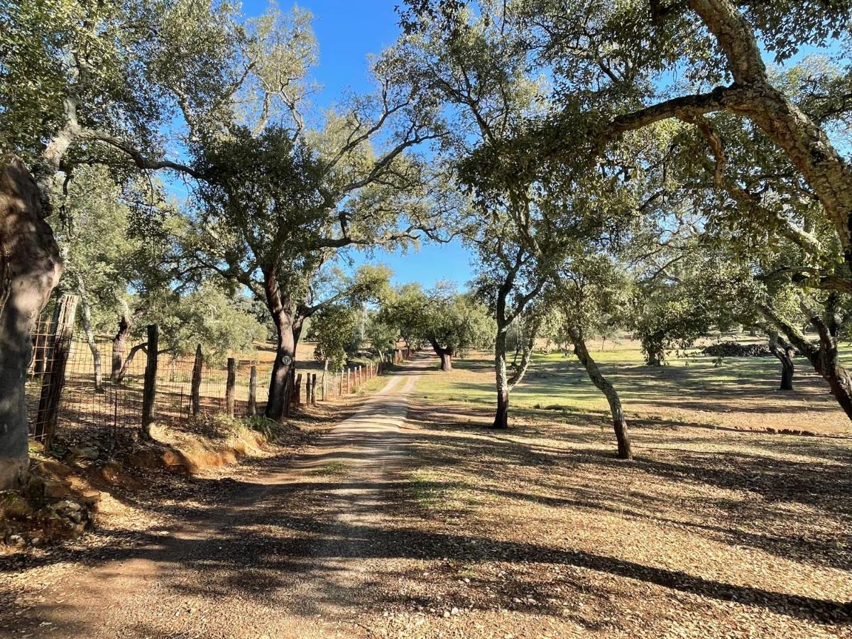 Casa Rural La Galvana Aracena Eksteriør bilde