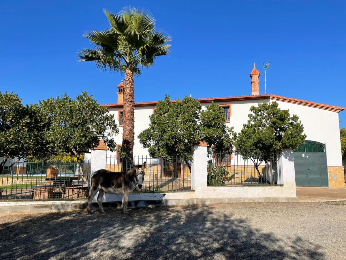 Casa Rural La Galvana Aracena Eksteriør bilde